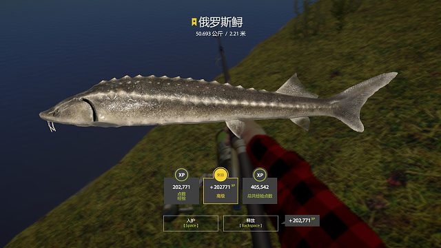 50公斤星毛鲟 ^_^-片段1