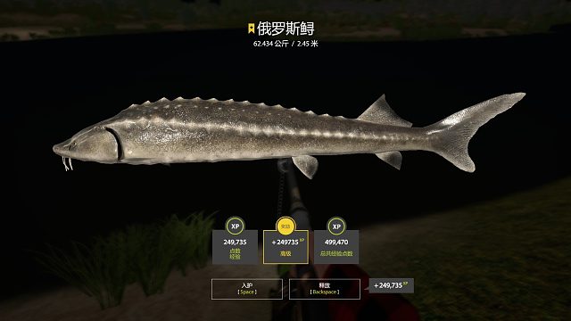 62公斤星毛鲟 ^_^-片段2