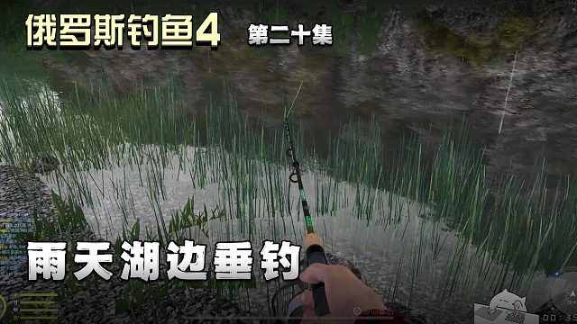 俄罗斯钓鱼4第二十集：雨天湖边垂钓