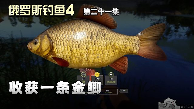 俄罗斯钓鱼4第二十一集：收获一条金鲫