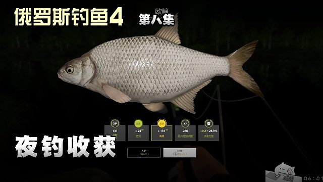 俄罗斯钓鱼4第八集：夜钓收获
