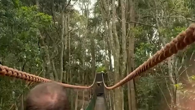 劳驾麻烦你借过一下呗！