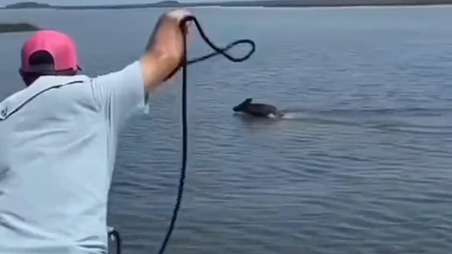 杰克跳入水中一把抱住了乔治