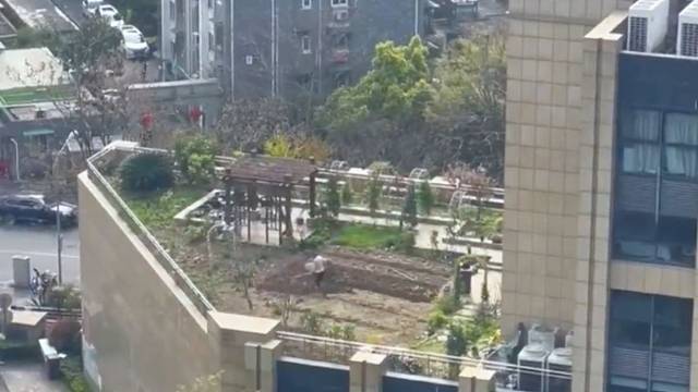 开发露台施肥种菜，公共区域先到先得吗？