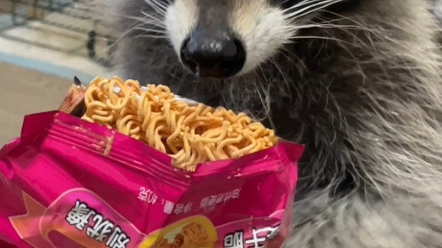 小浣熊喜欢吃小浣熊牌干脆面