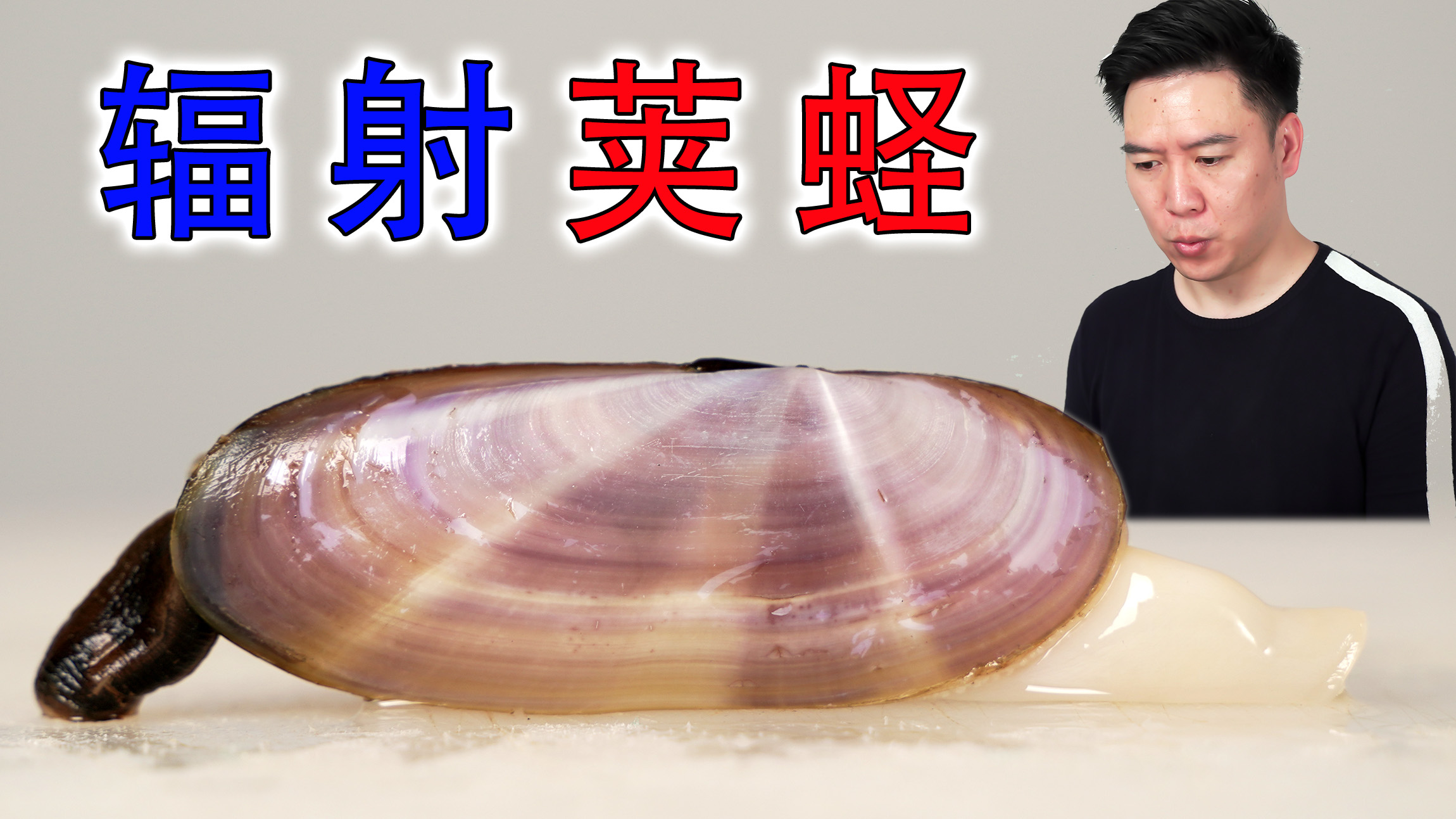 逛惠州码头居然发现猛虾蛄，吊打泰国富贵虾，性价比超高