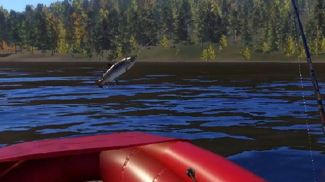 不上星洗钩八腮？