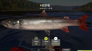 下飯意味上星