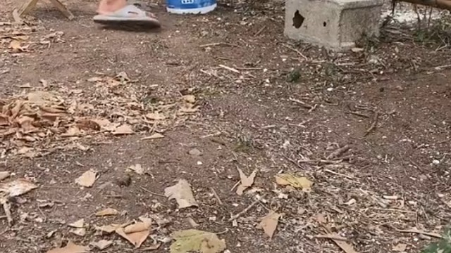 这一顿造还没尝到味吧！