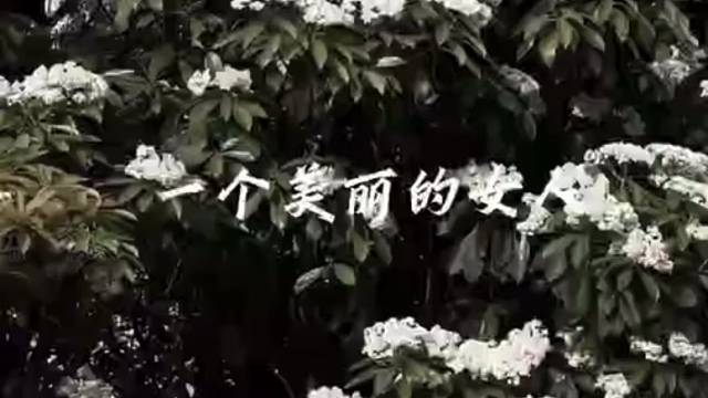 立志做个女rap！
