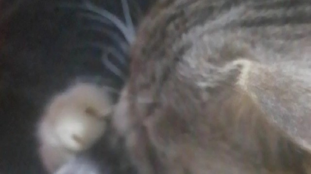 #分享你手机里的游戏截图