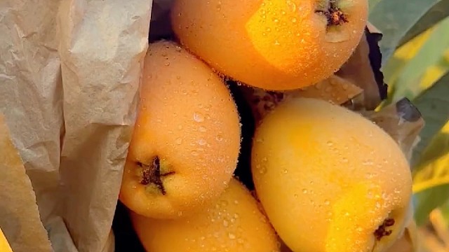 应季水果～产地直发