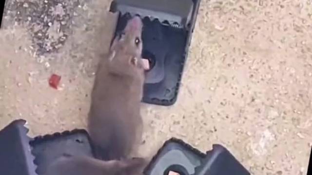 #你的游戏高光时刻