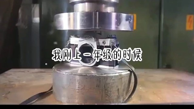 卑微的傻子姐姐