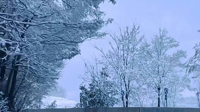 雪一落这里就美成了诗#阳春四月雪花飘飘