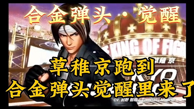 这样的合金弹头你一定没玩过