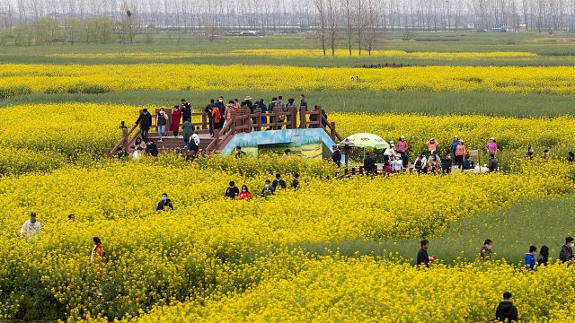 十万部冷知识：清明节的由来和习俗