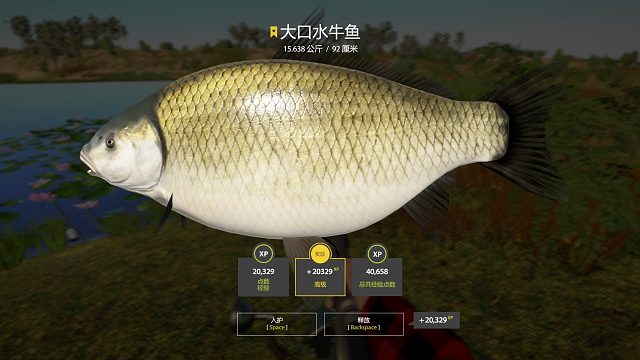 28图荷花池大口上星