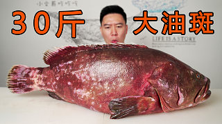 30斤的巨大云紋石斑魚，用白粥來涮，好吃的停不下來