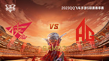 RW vs AG_2_QQ飞车手游S联赛春季赛