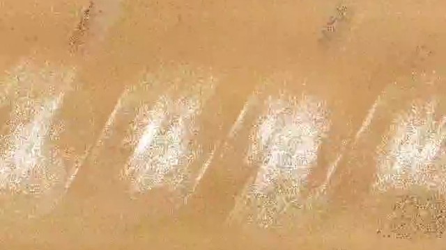 任何人的肯定或者否定，都不是自身价值的风向标