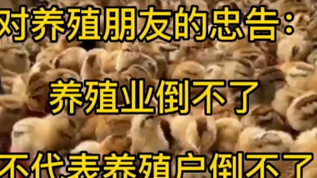 对养殖朋友的忠告养殖业倒不了不代表养殖户倒不了.mp4