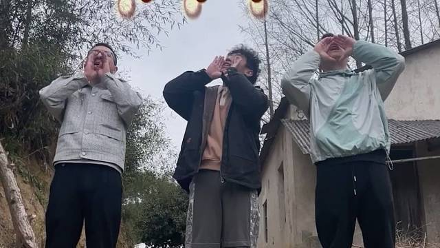 怀揣梦想，回到家乡，三兄弟开始创业养土鸡。