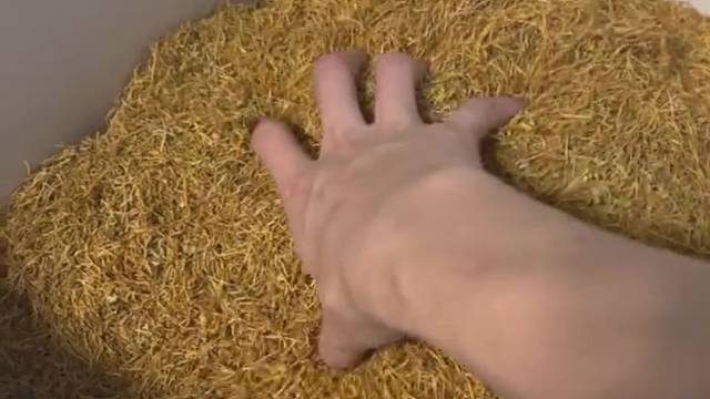 知道是什么吗