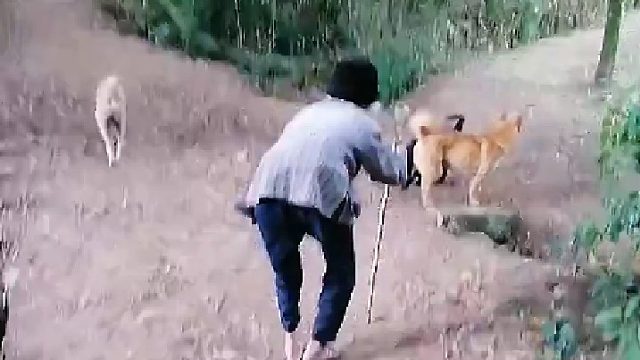 奶奶90岁还说去拜山“吓我眼大，还是等孙子去得咯”该！