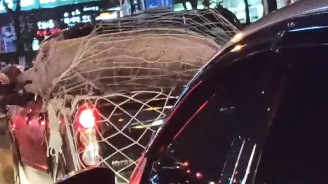 你朋友怎么跑下来了