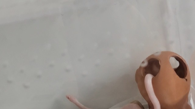 还好有你小葵陪着我，让我不孤单。。