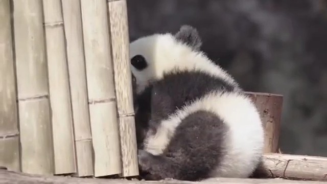 #分享你手机里的游戏截图