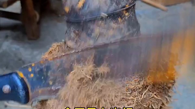 用竹根制作竹罐子