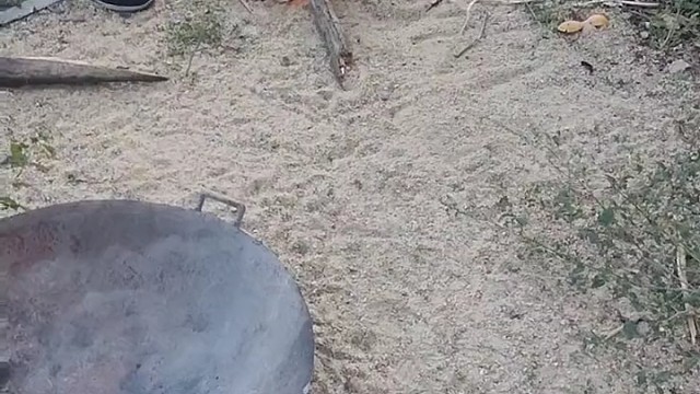 放假了在家的活动