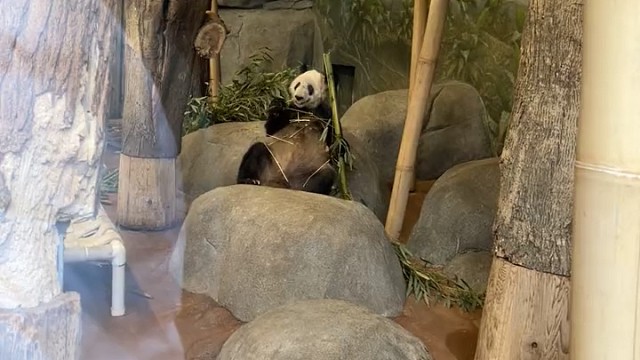 今天是欢送会，人比较多