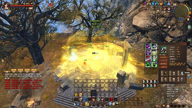 萌新看到的大龙