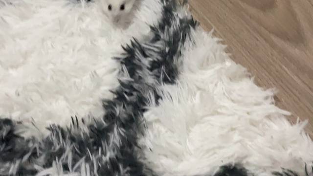 #分享你手机里的游戏截图