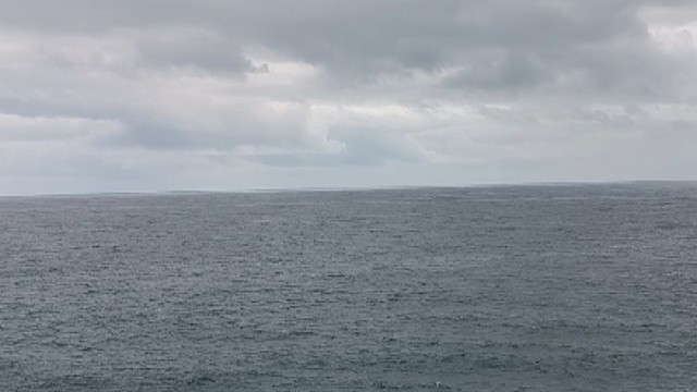 海真的能治愈一切。