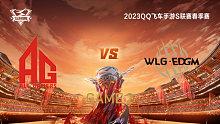 AG vs W.EDGM_2_QQ飞车手游S联赛春季赛