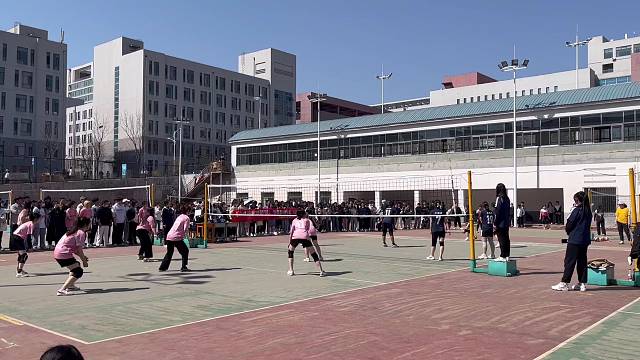 又是一年一度的校园三大杯