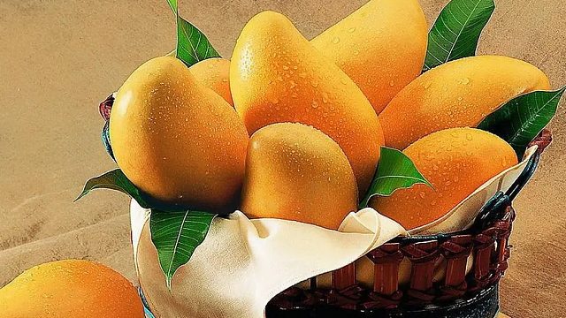 感谢龙伟新老板的超级多火焰箭哇哈哈哈哈停不下来