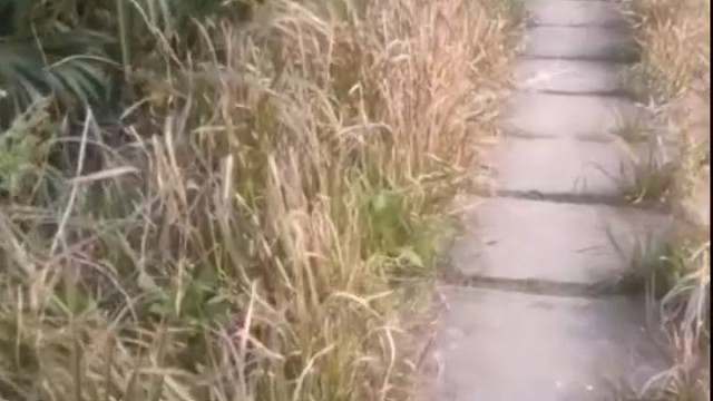 最好的财富不是腰财万贯，而是朝着好的人生一路蜕变