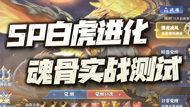 斗罗大陆魂师对决：实战测试SP白虎进化魂骨！一骨双用就问你抽不抽？