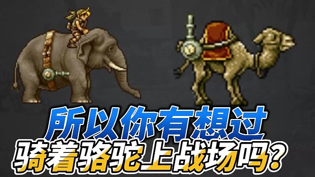 【合金弹头：觉醒】为什么是一只骆驼？还蠢萌蠢萌的？