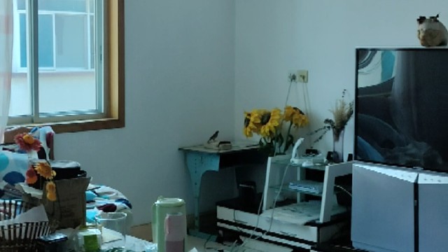 与美好不期而遇