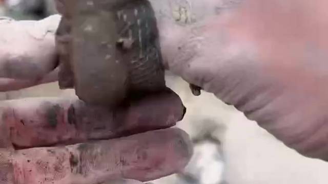 这鱼你们那叫什么？