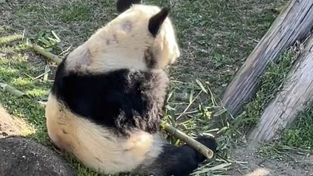 天空很蓝，太阳很暖