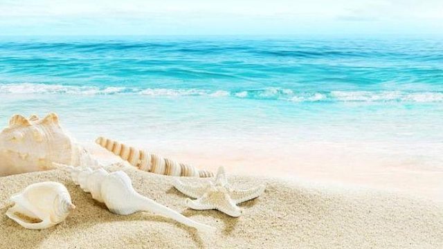 曼谷贝壳博物馆