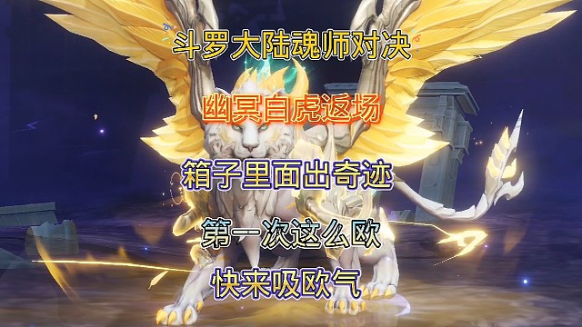 斗罗大陆魂师对决:幽冥白虎返场，箱子里面出奇迹！欧气的一天！