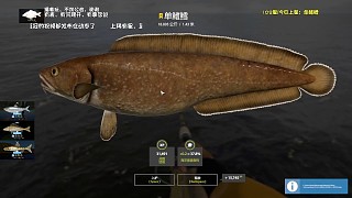 34圖挪威海–星單鰭鱈，4小時兩星，爆炸